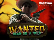 Wild casino online1